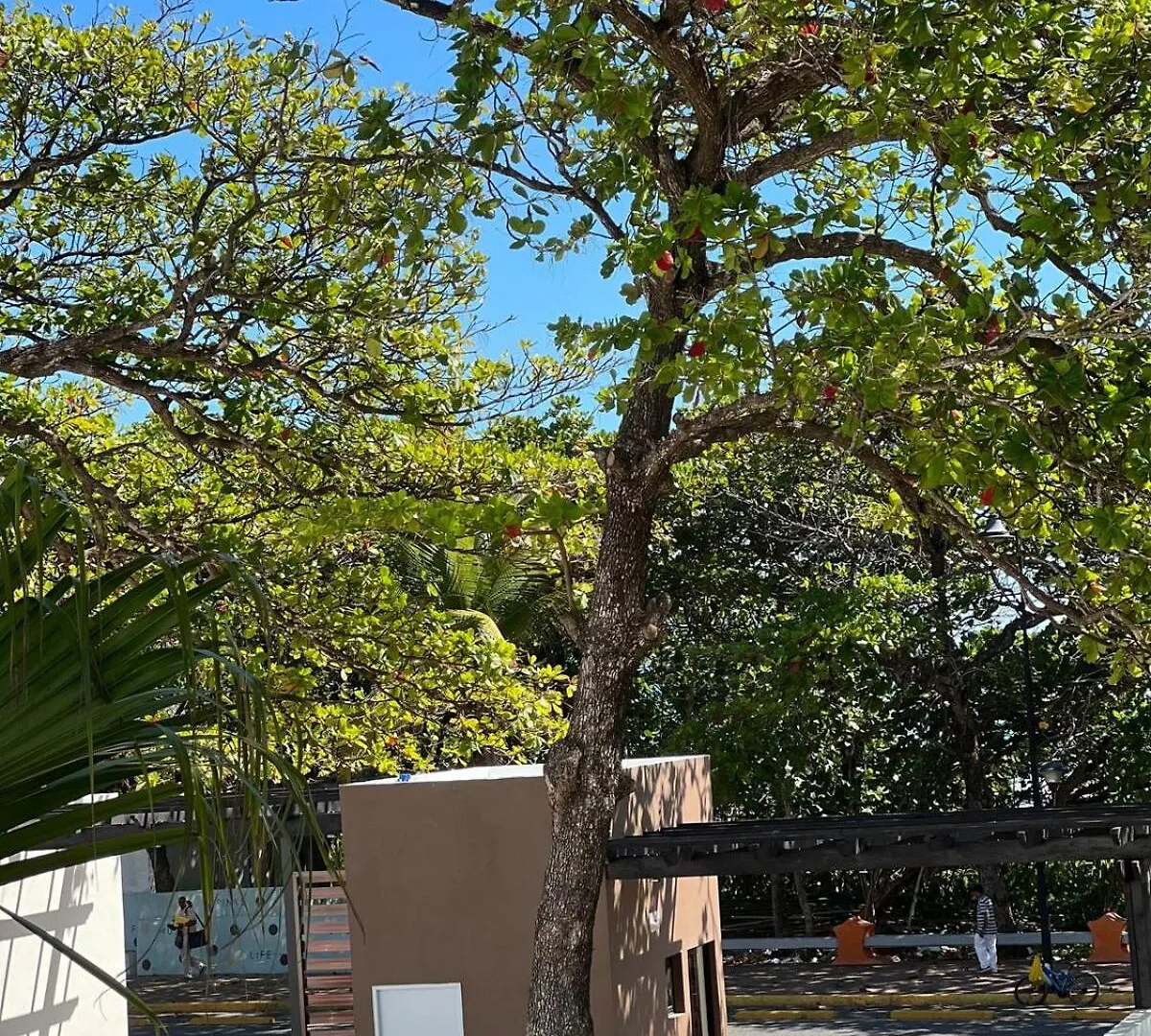 Ferienwohnung Marbella Puerto Plata
